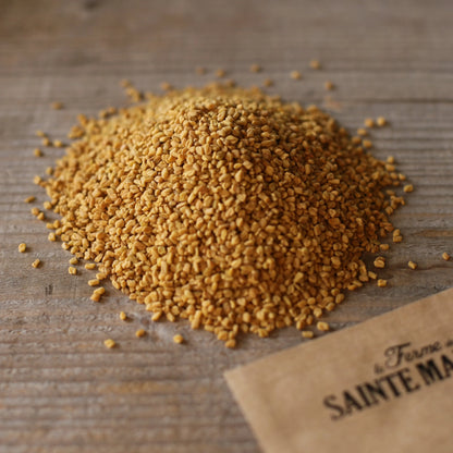 Graines de lupin bleu bio – La Ferme de Sainte Marthe
