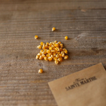 Graines de maïs pop corn tom pouce bio – La Ferme de Sainte Marthe