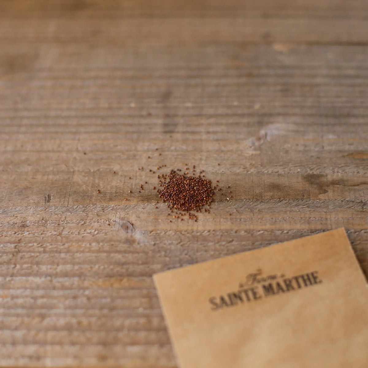 Graines de marjolaine bio – La Ferme de Sainte Marthe