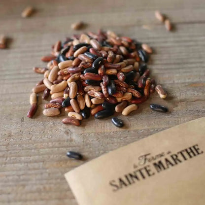 Graines de mélange de haricots nains de couleurs vert, jaune, violet (cupidon,major,purple queen) bio – La Ferme de Sainte Marthe