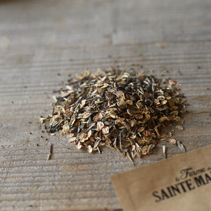 Graines de mélange fleuri camaïeu orange – La Ferme de Sainte Marthe
