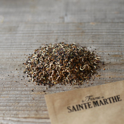 Graines de mélange fleuri pied de murs – La Ferme de Sainte Marthe