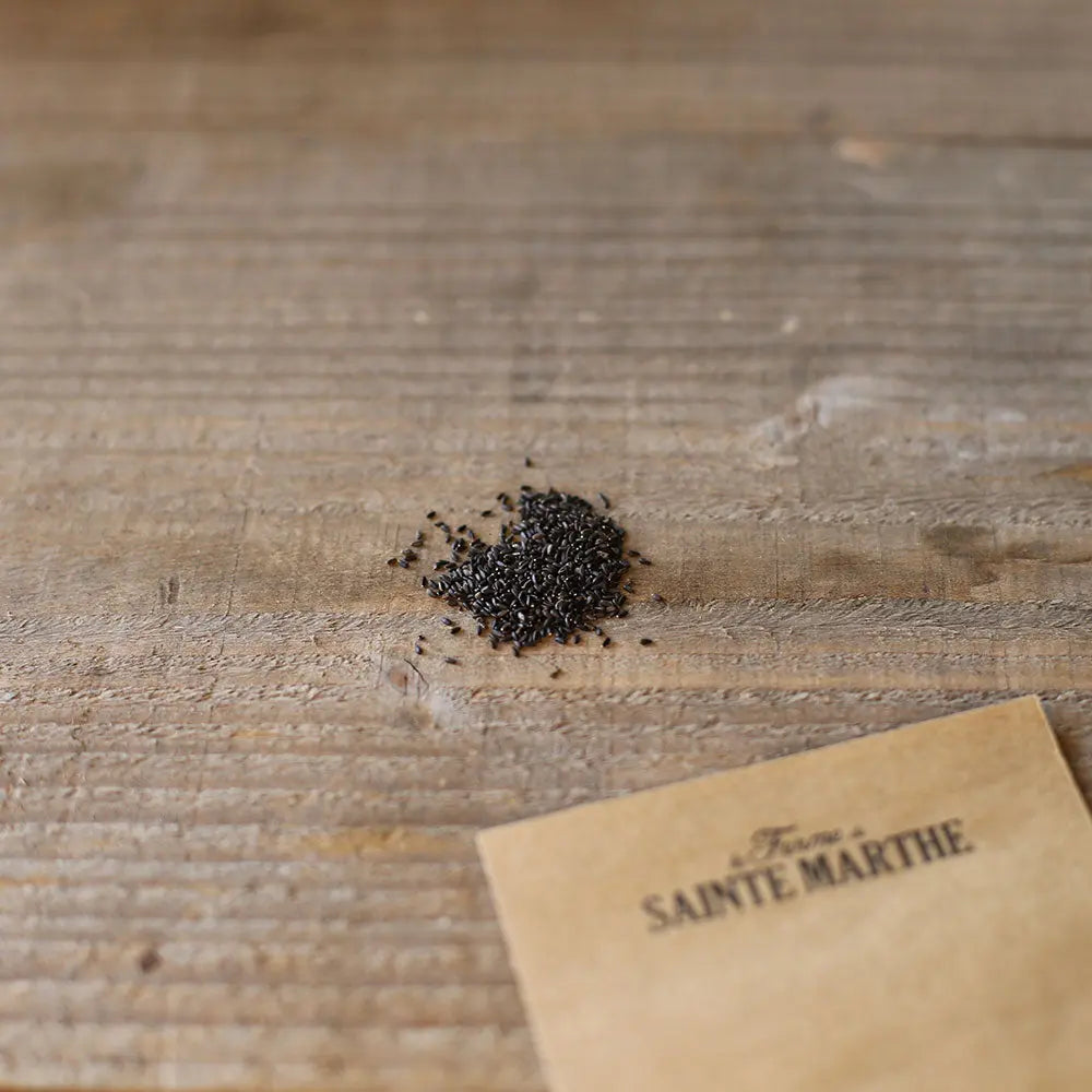 Graines de mélisse orange bio – La Ferme de Sainte Marthe