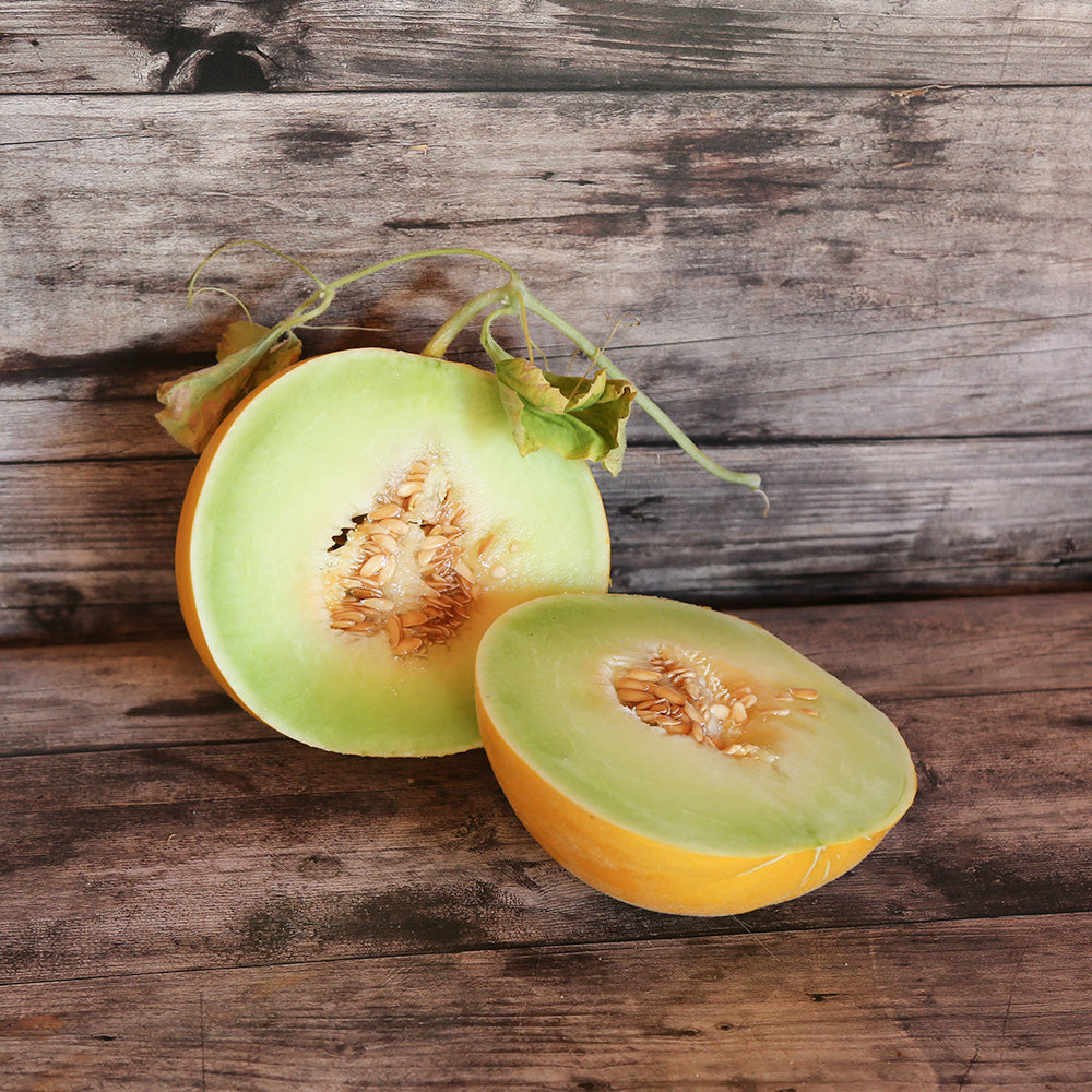 Graines de melon boule d'or bio – La Ferme de Sainte Marthe