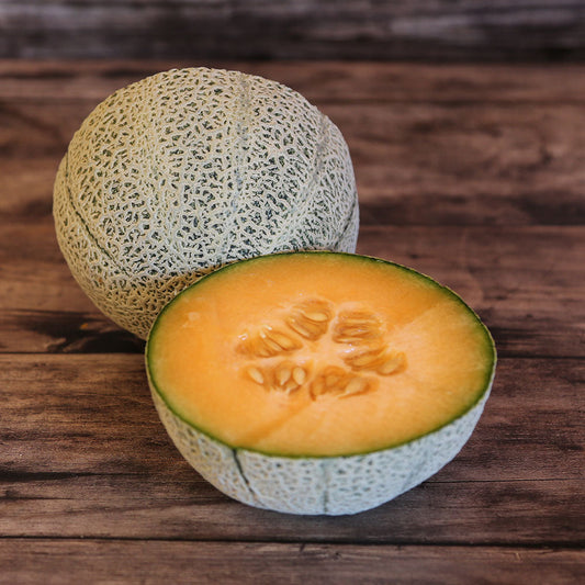 Graines de melon chilton bio – La Ferme de Sainte Marthe