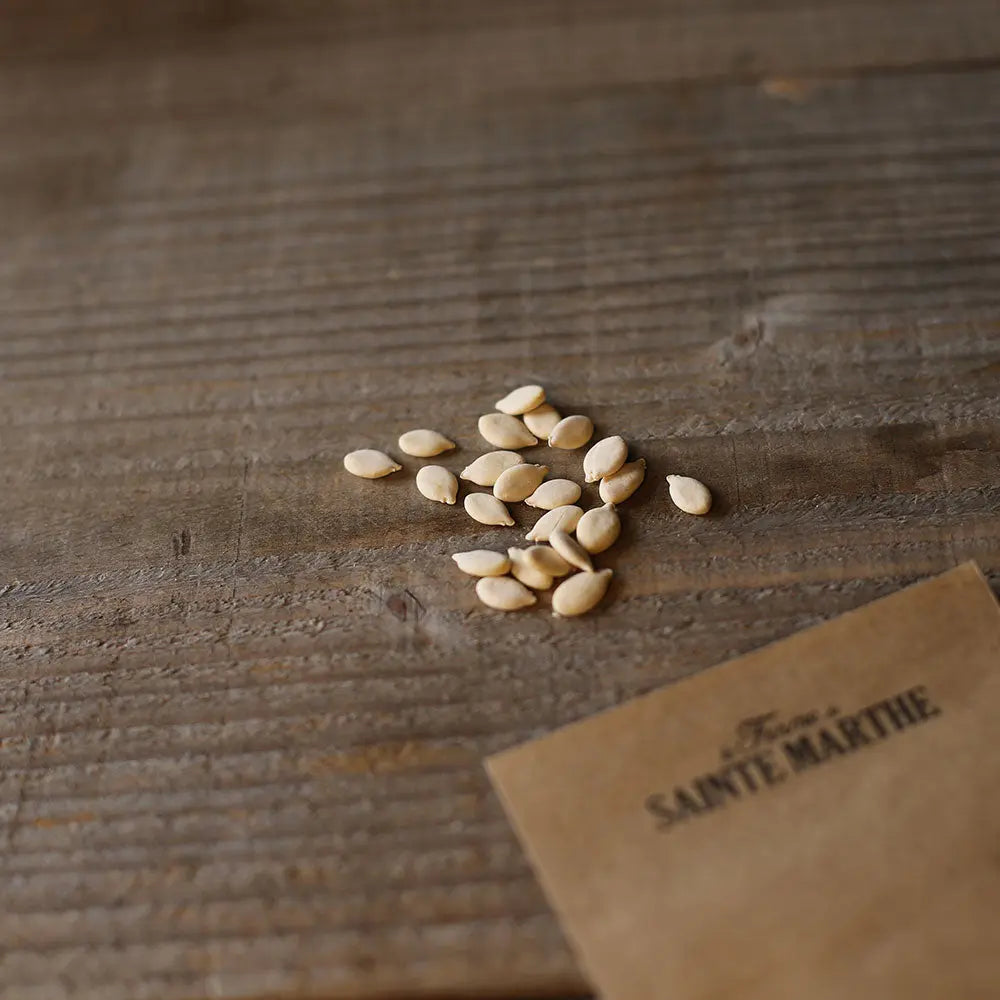 Graines de melon d'hiver twonga bio – La Ferme de Sainte Marthe