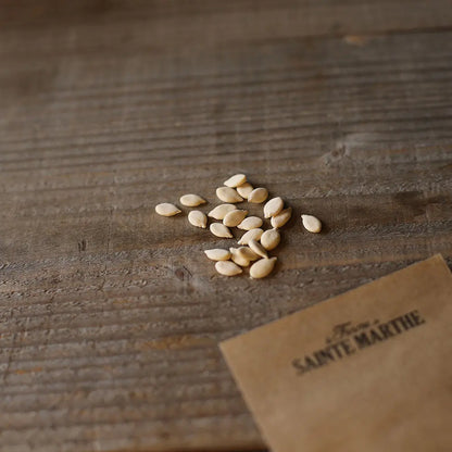 Graines de melon d'hiver twonga bio – La Ferme de Sainte Marthe