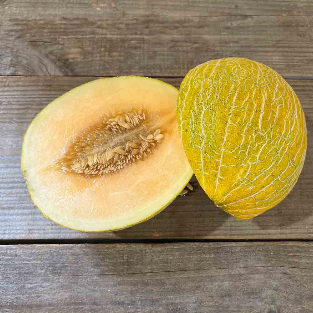 Graines de melon de cavaillon espagnol à chair rose bio – La Ferme de Sainte Marthe