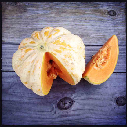 Graines de melon délice de la table bio – La Ferme de Sainte Marthe
