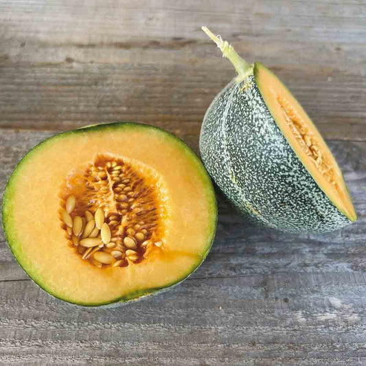 Graines de melon petit gris de rennes bio – La Ferme de Sainte Marthe