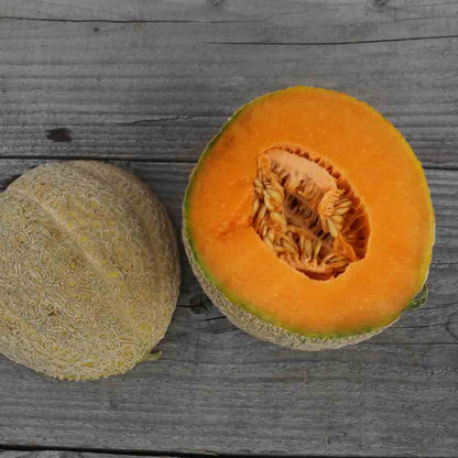 Graines de melon pride of wisconsin bio – La Ferme de Sainte Marthe