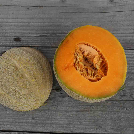 Graines de melon pride of wisconsin bio – La Ferme de Sainte Marthe