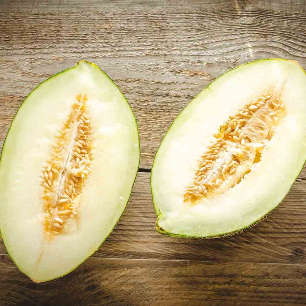 Graines de melon vert d'espagne pinonet ou piel de sapo bio – La Ferme de Sainte Marthe