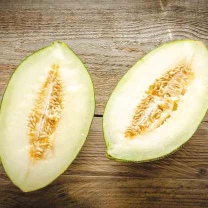 Graines de melon vert d'espagne pinonet ou piel de sapo bio – La Ferme de Sainte Marthe