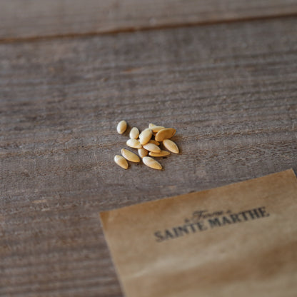 Graines de melon vert d'espagne pinonet ou piel de sapo bio – La Ferme de Sainte Marthe