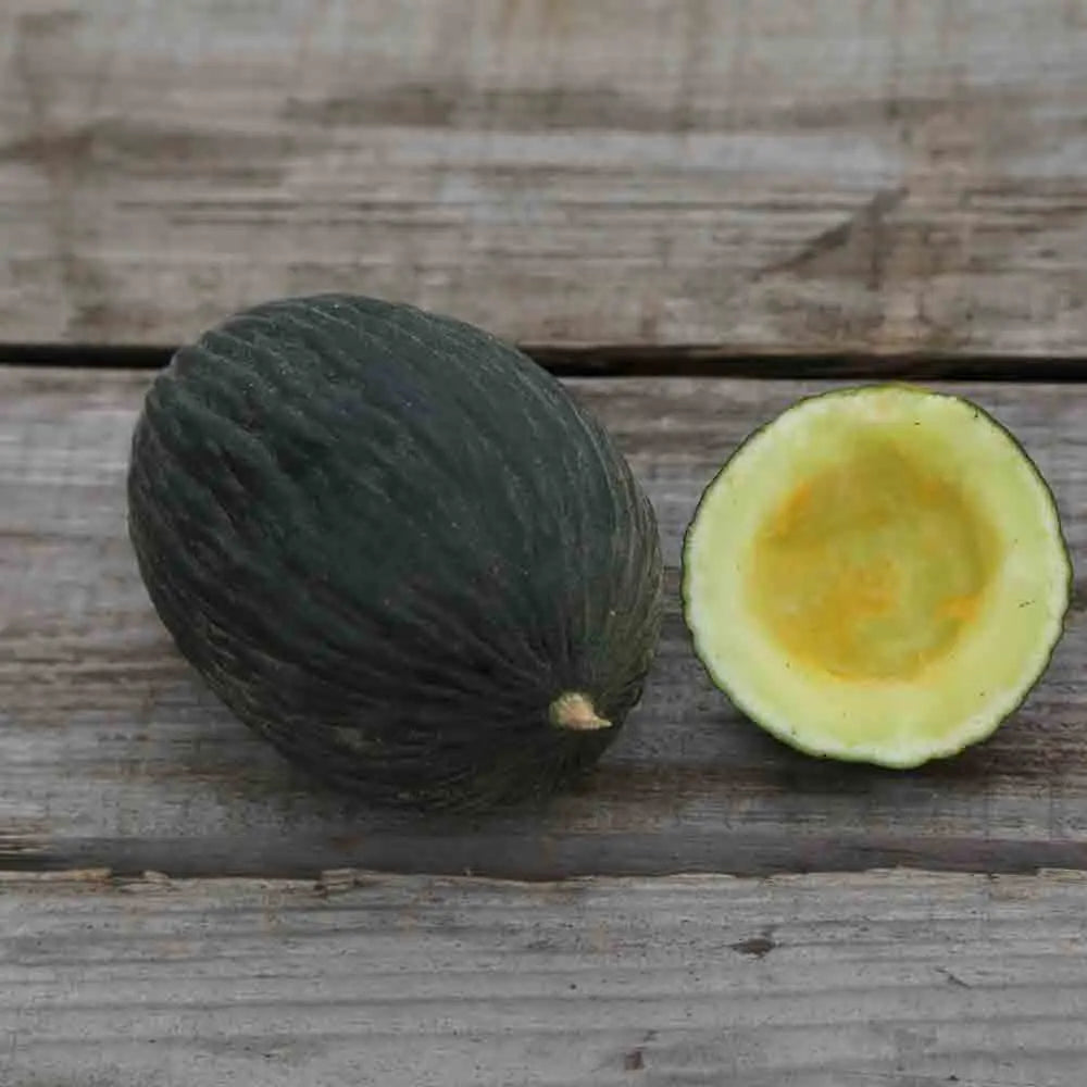 Graines de melon vert olive d'hiver bio – La Ferme de Sainte Marthe