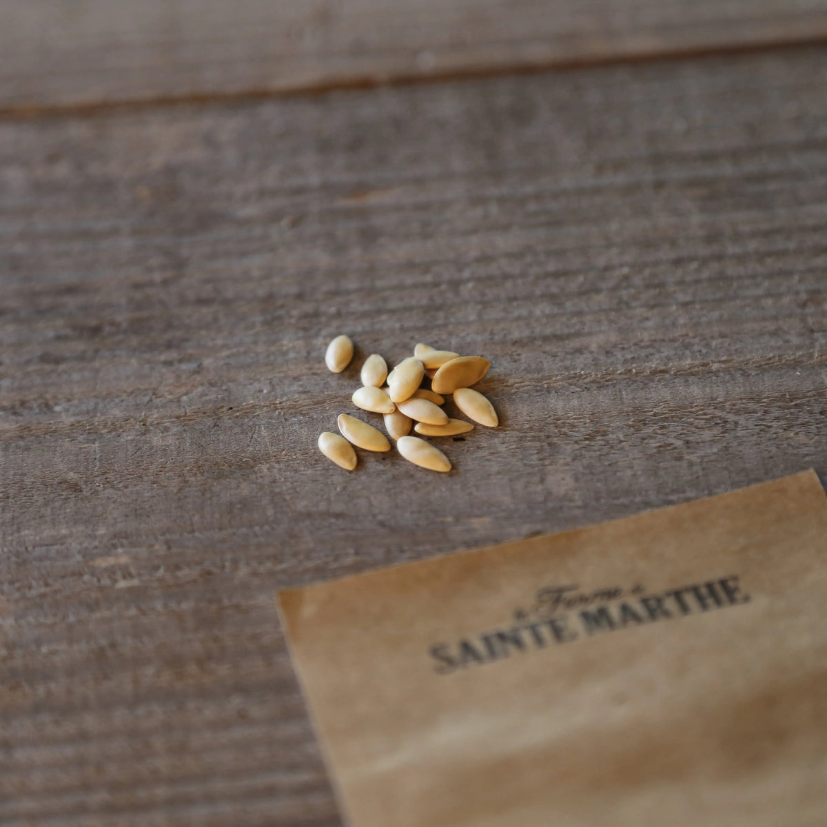 Graines de melon vert olive d'hiver bio – La Ferme de Sainte Marthe