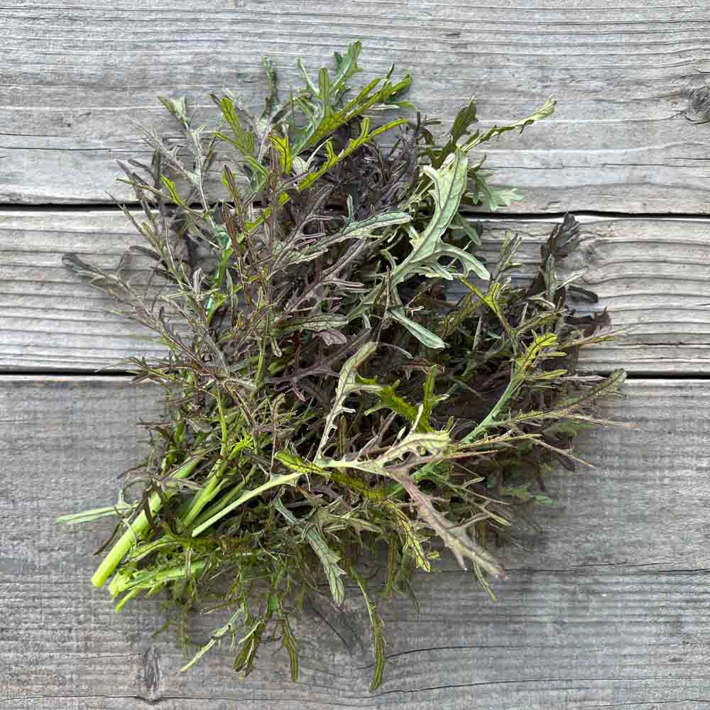 Graines de moutarde purple frills bio – La Ferme de Sainte Marthe