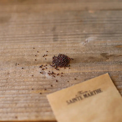 Graines de navet noir long bio – La Ferme de Sainte Marthe