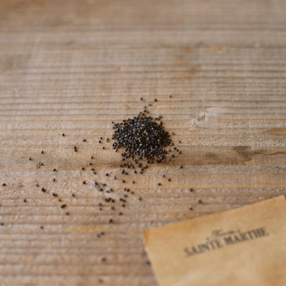 Graines de nigelle d'espagne bio – La Ferme de Sainte Marthe