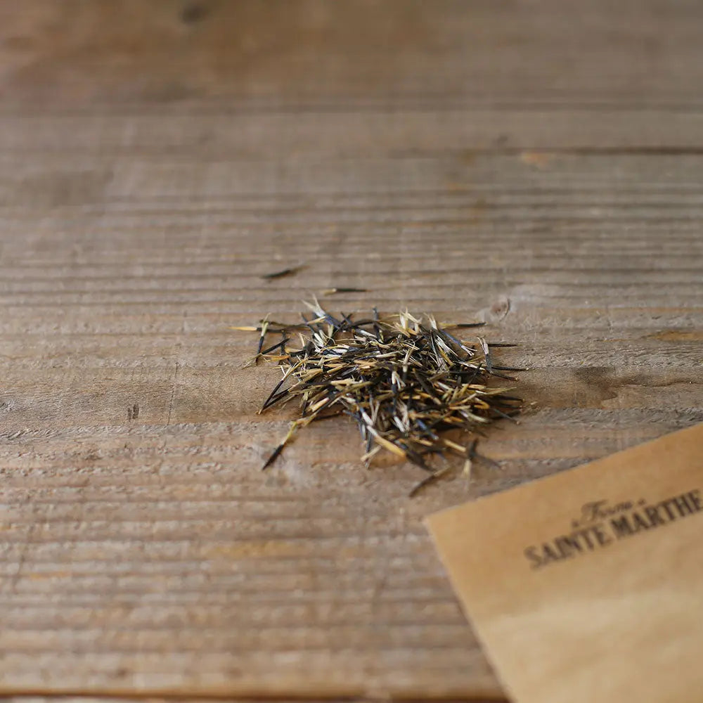 Graines d'œillet d'inde sauvage ou tagetes patula bio – La Ferme de Sainte Marthe