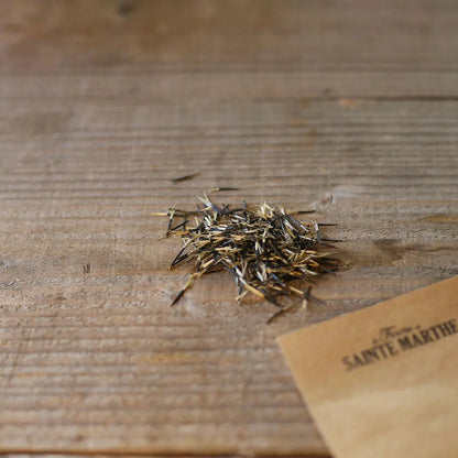 Graines d'œillet d'inde sauvage ou tagetes patula bio – La Ferme de Sainte Marthe