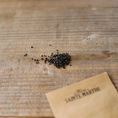 Graines d'oignon bio – La Ferme de Sainte Marthe