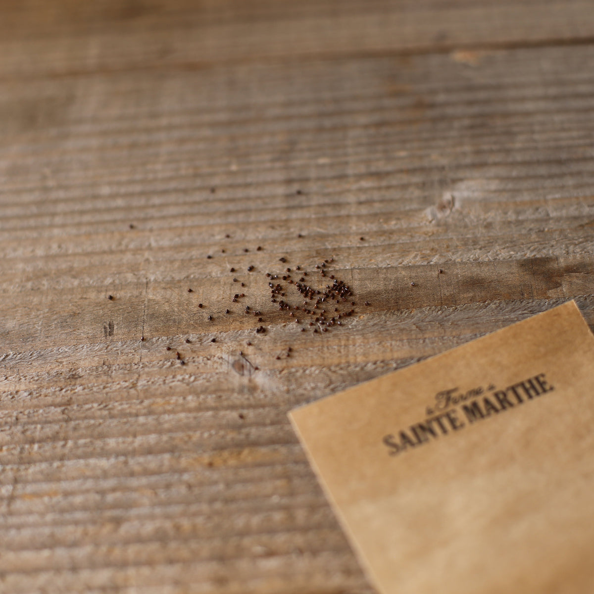 Graines d'oseille sanguine bio – La Ferme de Sainte Marthe