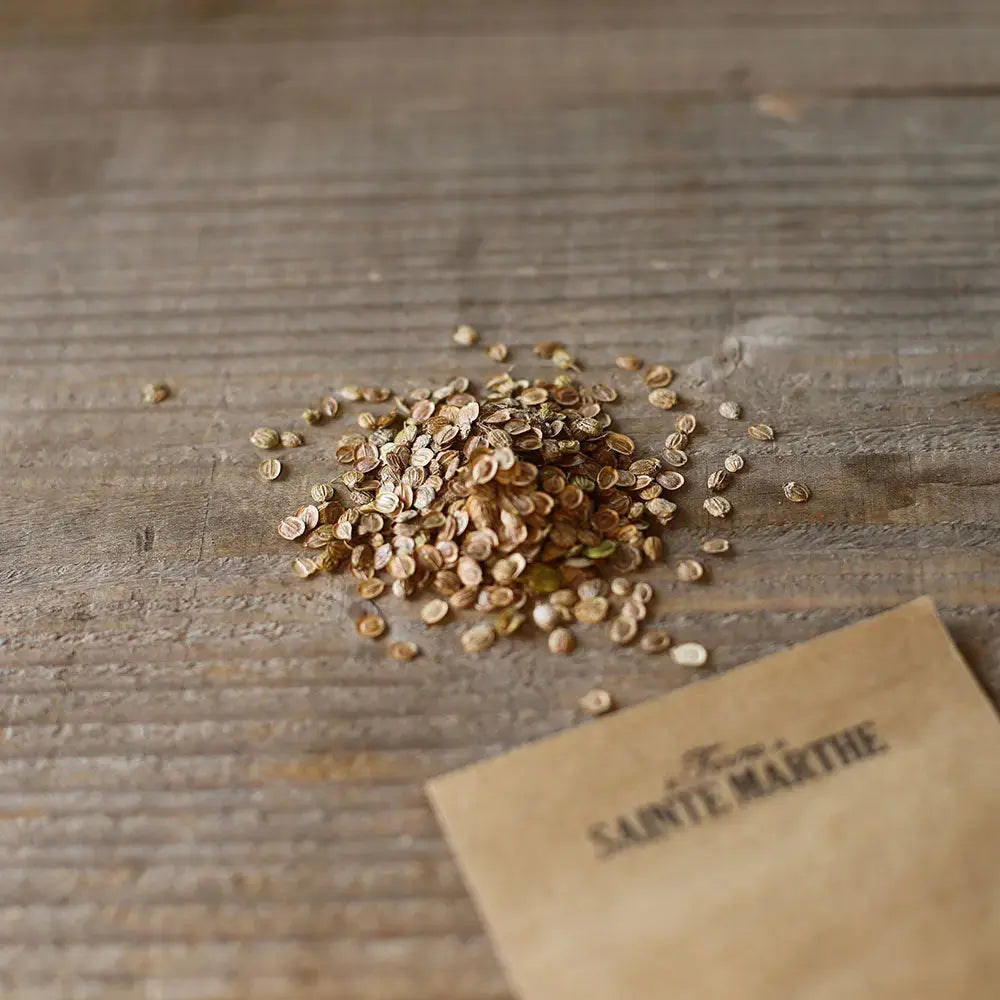 Graines de panais tender and true bio – La Ferme de Sainte Marthe