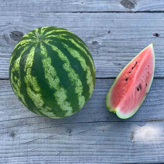 Graines de pastèque crimson sweet bio – La Ferme de Sainte Marthe