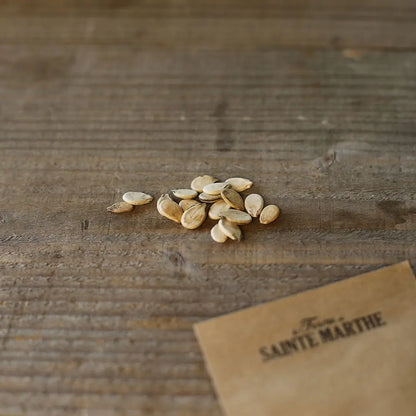 Graines de pastèque di bagnacavallo bio – La Ferme de Sainte Marthe