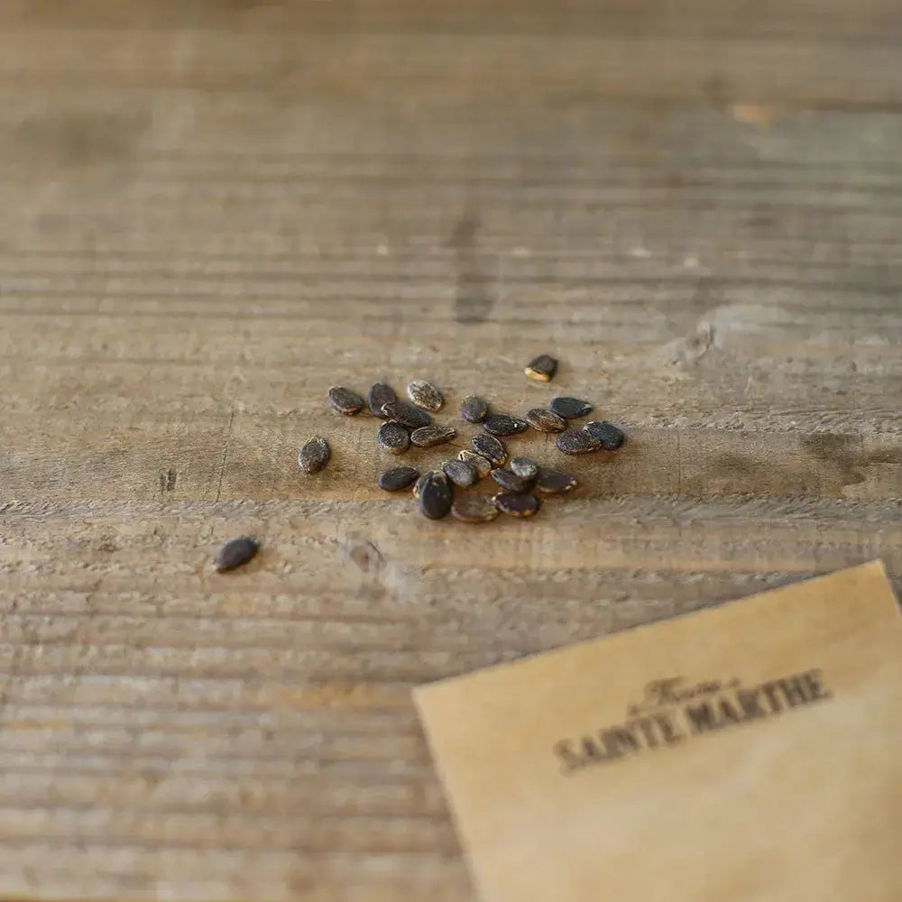 Graines de pastèque bio – La Ferme de Sainte Marthe