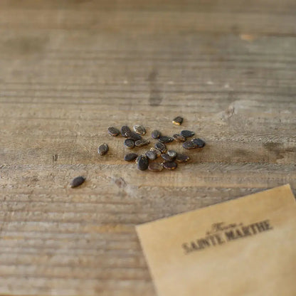Graines de pastèque bio – La Ferme de Sainte Marthe