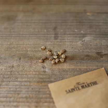 Graines de pastèque sugar baby bio – La Ferme de Sainte Marthe