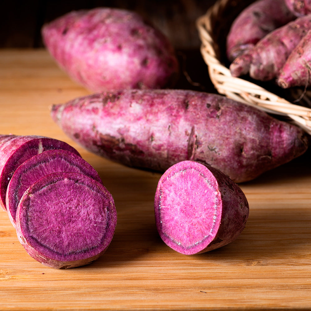 PATATE DOUCE SAKURA - AB - PLANT 