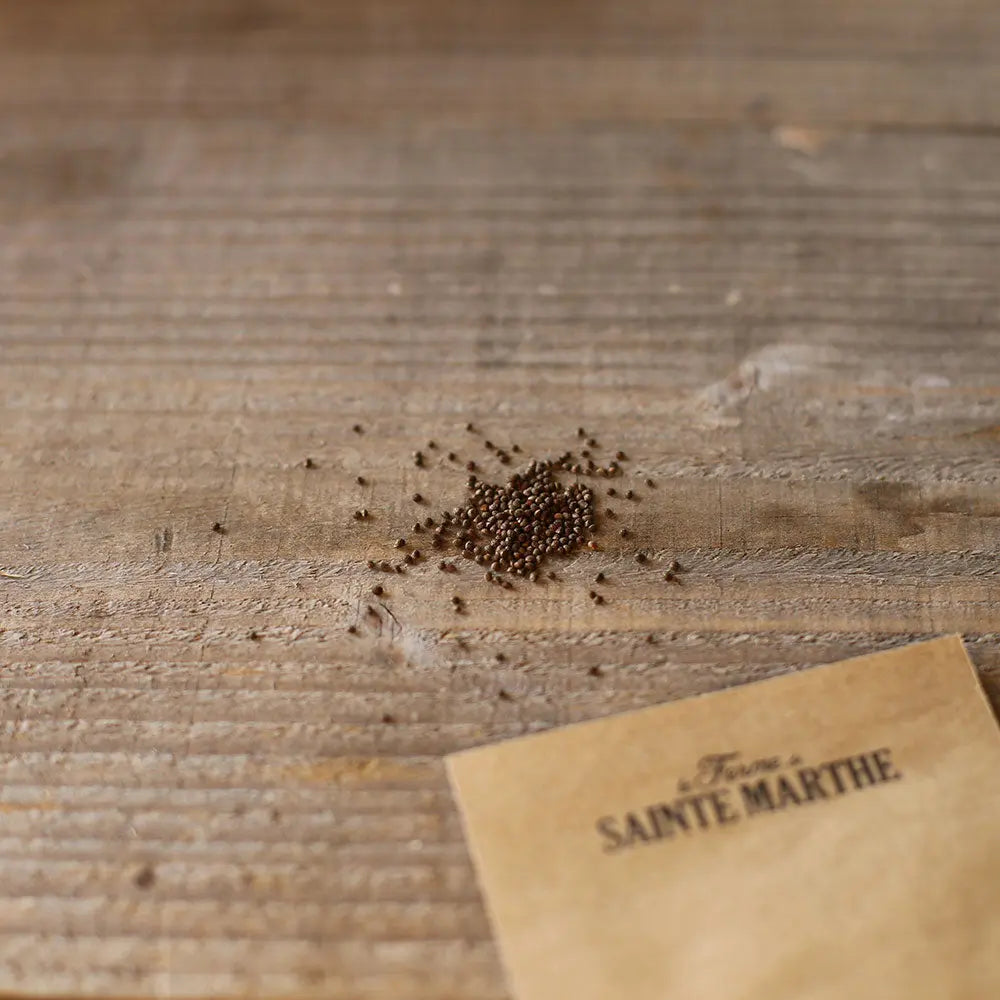 Graines de perilla bio – La Ferme de Sainte Marthe