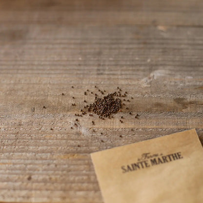 Graines de perilla bio – La Ferme de Sainte Marthe