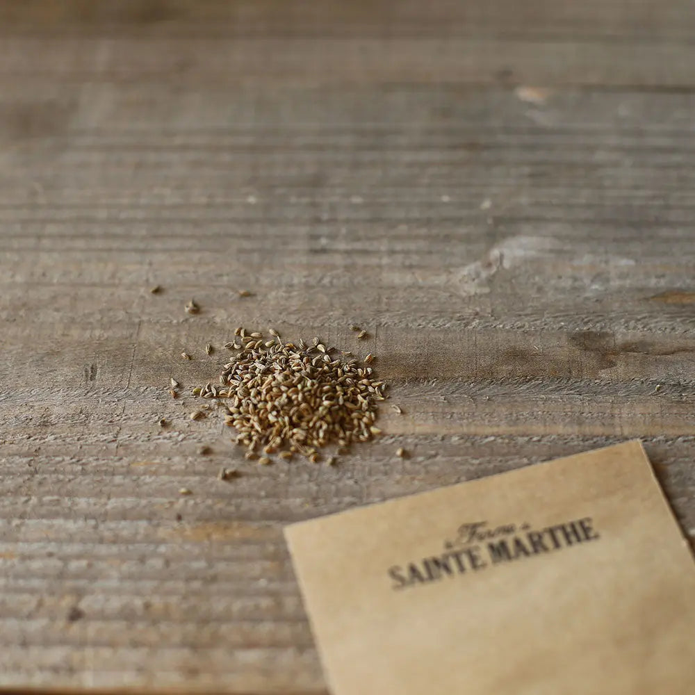 Graines de persil plat géant d'italie bio – La Ferme de Sainte Marthe