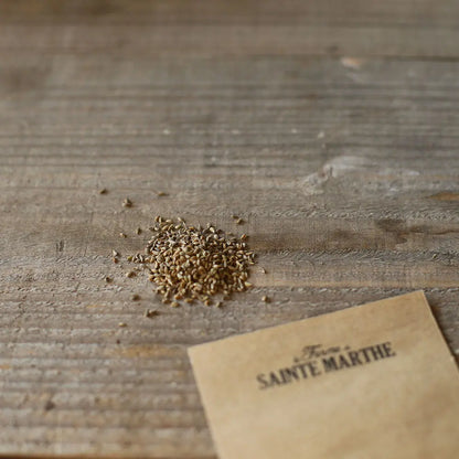 Graines de persil plat géant d'italie bio – La Ferme de Sainte Marthe