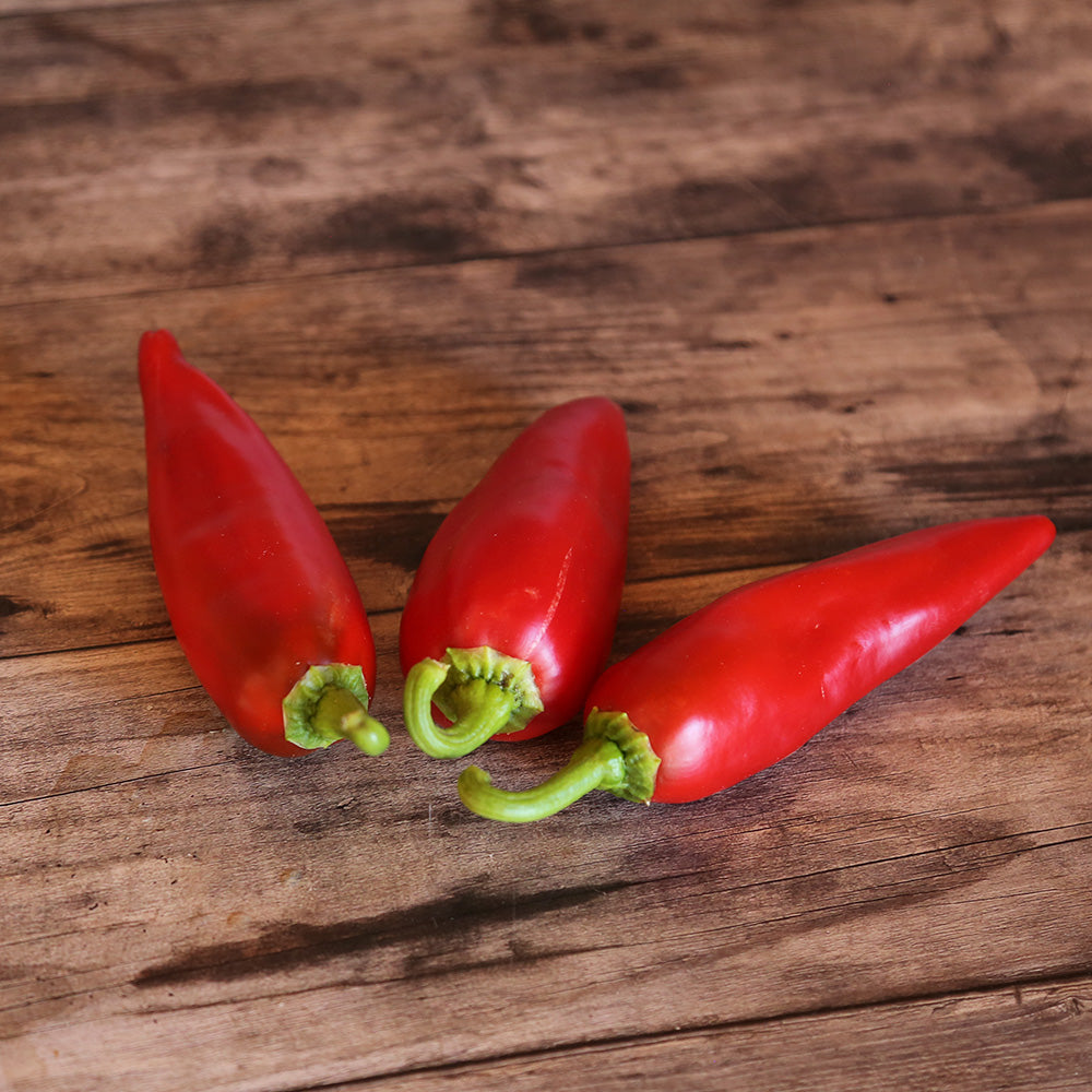 Graines de piment gorria type espelette bio – La Ferme de Sainte Marthe