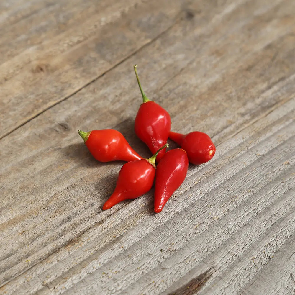 Graines de piment petit bec biquinho bio – La Ferme de Sainte Marthe