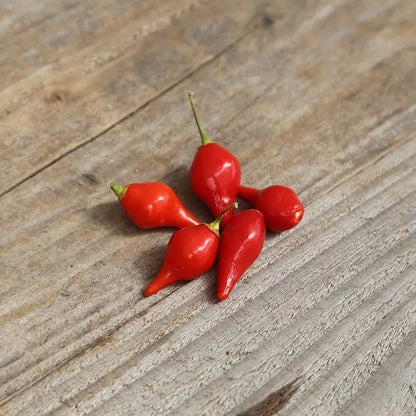 Graines de piment petit bec biquinho bio – La Ferme de Sainte Marthe