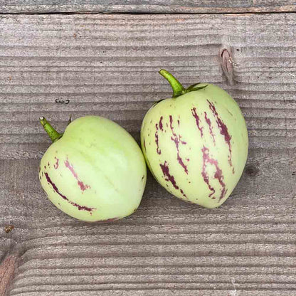 Graines de poire melon pepino – La Ferme de Sainte Marthe