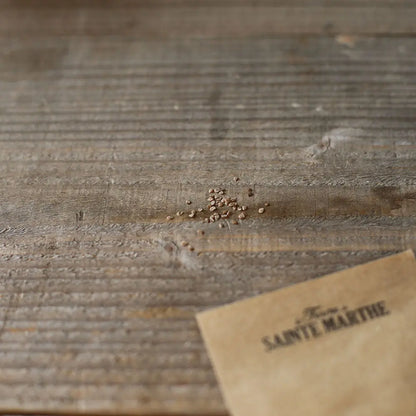 Graines de poire melon pepino – La Ferme de Sainte Marthe