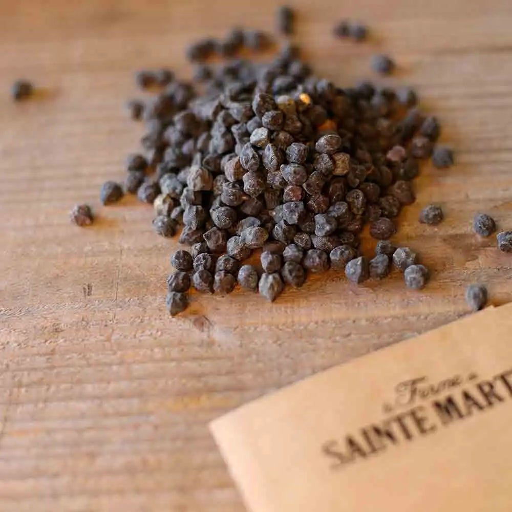 Graines de pois chiche à grain noir de puglia bio – La Ferme de Sainte Marthe
