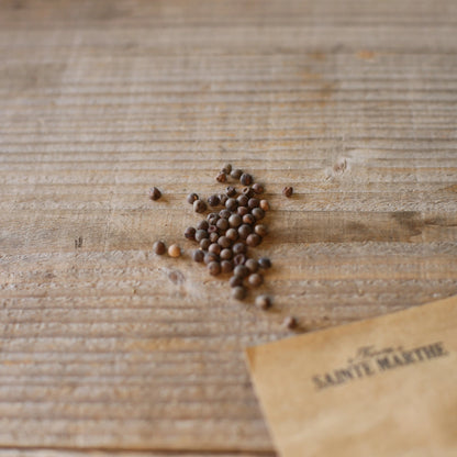 Graines de pois de senteur bio – La Ferme de Sainte Marthe