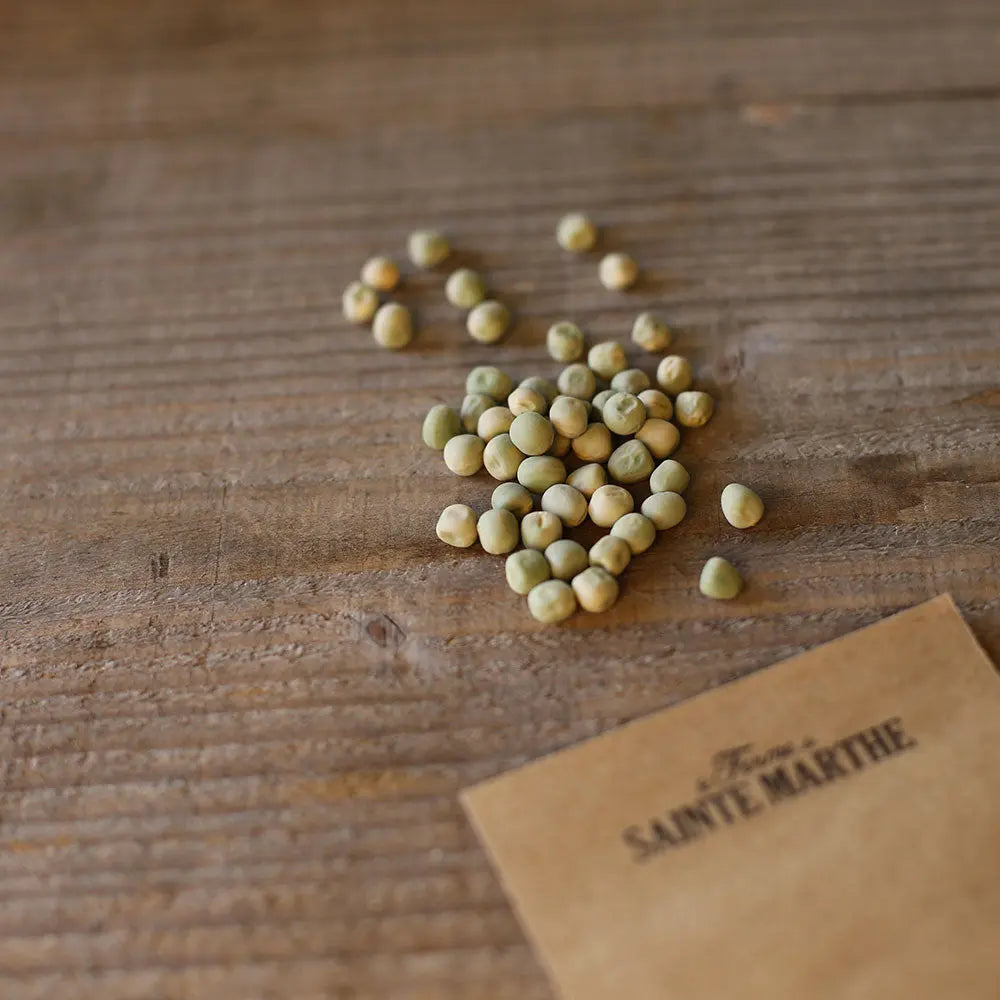 Graines de pois nain douce provence grain rond à écosser bio – La Ferme de Sainte Marthe