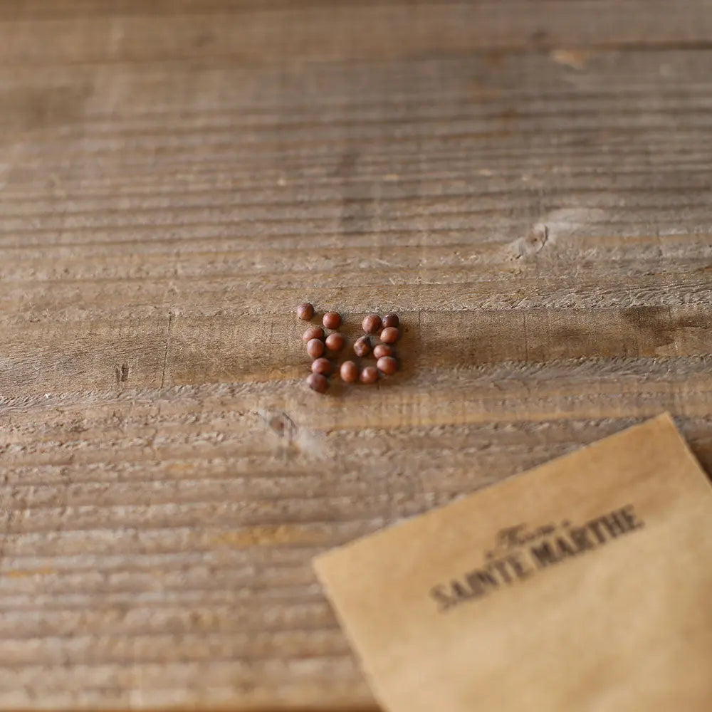 Graines de pois nain petit provençal grain rond à écosser bio – La Ferme de Sainte Marthe