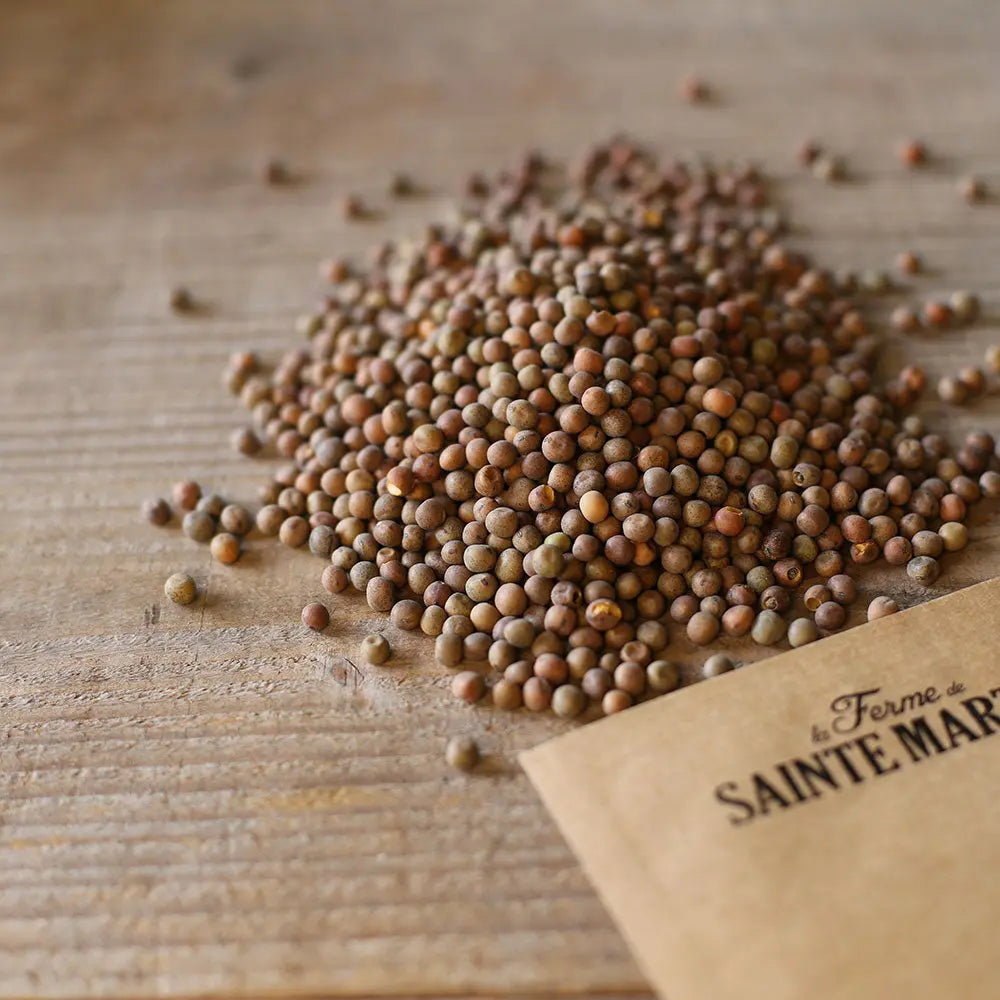 Graines de pois protéagineux bio – La Ferme de Sainte Marthe