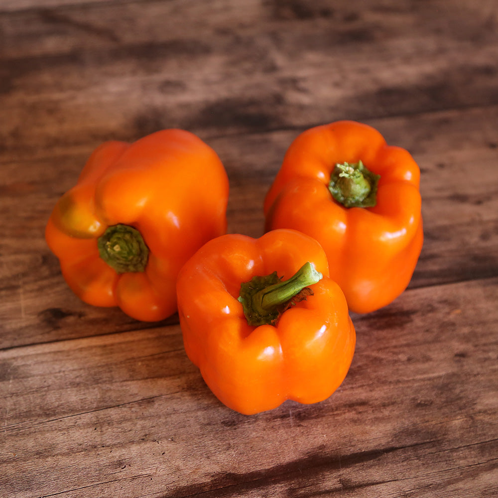 Graines de poivron california orange wonder bio – La Ferme de Sainte Marthe